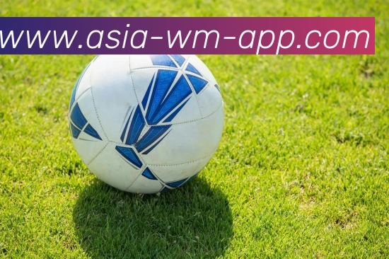 App 示例图
